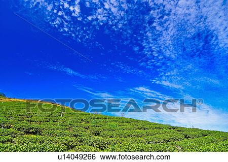 Stock Photograph - "Beautiful scenery of Taiwan, Nantou". Fotosearch