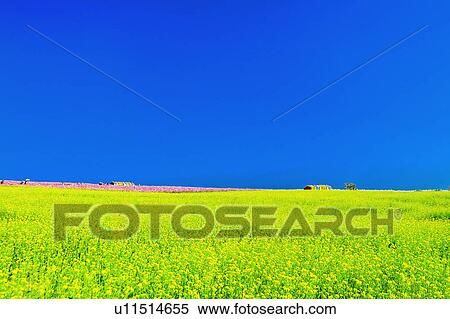 "Beautiful scenery of Taiwan, Nantou, Puli" View Large Photo Image Stock Photography - "Beautiful scenery of Taiwan, Nantou, Puli". Fotosearch