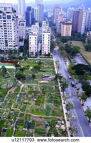 "Taiwan, Taipei, Song Qin Rd. " View Large Photo Image Stock Image - "Taiwan, Taipei, Song Qin Rd. ". Fotosearch