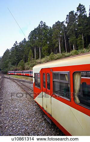 "Asia, China, Taiwan, Chiayi, Alishan National Scenic Area" View Large Photo Image Picture - "Asia, China, Taiwan, Chiayi, Alishan National Scenic Area". Fotosearch