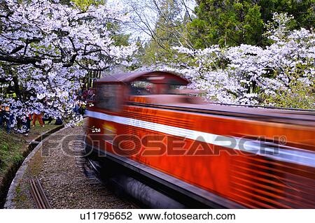 Stock Image - "Asia, China, Taiwan, Chiayi, Alishan National Scenic Area". Fotosearch