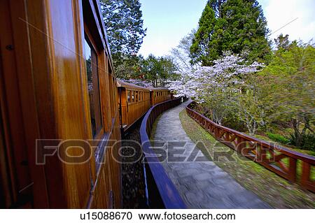 "Asia, China, Taiwan, Chiayi, Alishan National Scenic Area" View Large Photo Image Stock Image - "Asia, China, Taiwan, Chiayi, Alishan National Scenic Area". Fotosearch