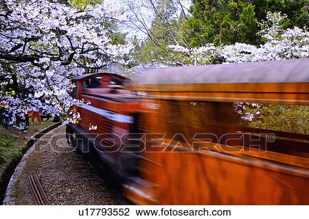 "Asia, China, Taiwan, Chiayi, Alishan National Scenic Area" View Large Photo Image Stock Image - "Asia, China, Taiwan, Chiayi, Alishan National Scenic Area". Fotosearch