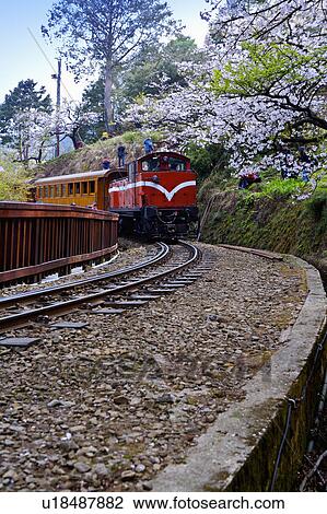 Stock Image - "Asia, China, Taiwan, Chiayi, Alishan National Scenic Area". Fotosearch