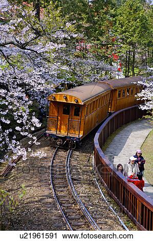 "Asia, China, Taiwan, Chiayi, Alishan National Scenic Area" View Large Photo Image Stock Image - "Asia, China, Taiwan, Chiayi, Alishan National Scenic Area". Fotosearch
