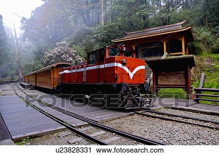 "Asia, China, Taiwan, Chiayi, Alishan National Scenic Area, Sacred Tree Station" View Large Photo Image Stock Image - "Asia, China, Taiwan, Chiayi, Alishan National Scenic Area, Sacred Tree Station". Fotosearch