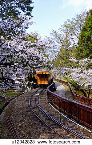 Stock Photo - "Asia, China, Taiwan, Chiayi, Alishan National Scenic Area, Sunrise". Fotosearch