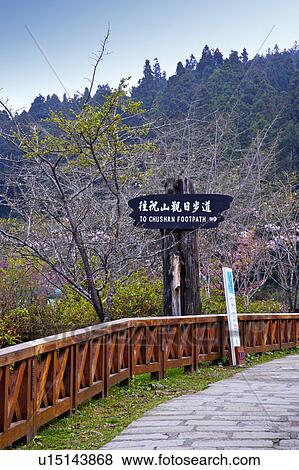Stock Photo - "Asia, China, Taiwan, Chiayi, Alishan National Scenic Area". Fotosearch