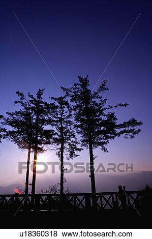 Stock Photo - "Asia, China, Taiwan, Chiayi, Alishan National Scenic Area, Jhushan". Fotosearch