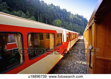 "Asia, China, Taiwan, Chiayi, Alishan National Scenic Area" View Large Photo Image Stock Photo - "Asia, China, Taiwan, Chiayi, Alishan National Scenic Area". Fotosearch
