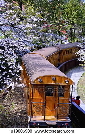 "Asia, China, Taiwan, Chiayi, Alishan National Scenic Area" View Large Photo Image Stock Photo - "Asia, China, Taiwan, Chiayi, Alishan National Scenic Area". Fotosearch