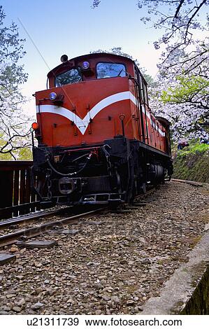 Stock Photo - "Asia, China, Taiwan, Chiayi, Alishan National Scenic Area". Fotosearch