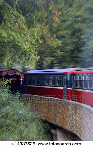 "Asia, China, Taiwan, Chiayi, Alishan National Scenic Area" View Large Photo Image Stock Photography - "Asia, China, Taiwan, Chiayi, Alishan National Scenic Area". Fotosearch