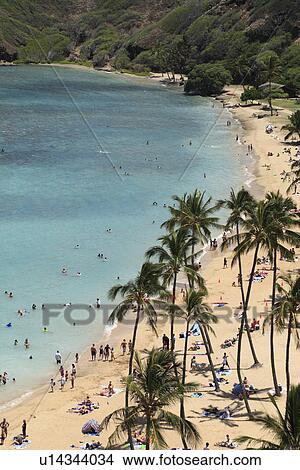 Picture - "Beach Resort, Hanauma Bay, Hawaii, U. S. A. ". Fotosearch