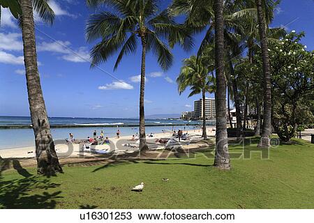 "Beach Resort, Honolulu, Hawaii, U. S. A. " View Large Photo Image Stock Image - "Beach Resort, Honolulu, Hawaii, U. S. A. ". Fotosearch