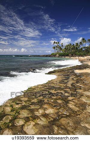 Stock Photograph Of Laniakea Beach Hawaii U S A U19393559 Laniakea Beach Hawaii U S A