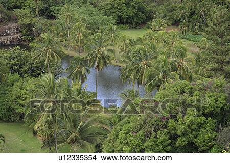 Allerton Garden Kauai Hawaii U S A Picture U12335354