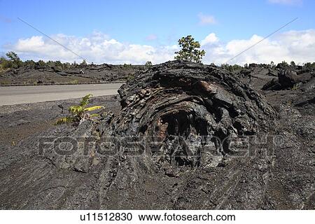 "Chains Of Craters Road, Hawaii, U. S. A. " View Large Photo Image Stock Image - "Chains Of Craters Road, Hawaii, U. S. A. ". Fotosearch