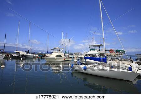 "Cruiser On The Ocean, Maui, Hawaii, U. S. A. " View Large Photo Image Stock Image - "Cruiser On The Ocean, Maui, Hawaii, U. S. A. ". Fotosearch