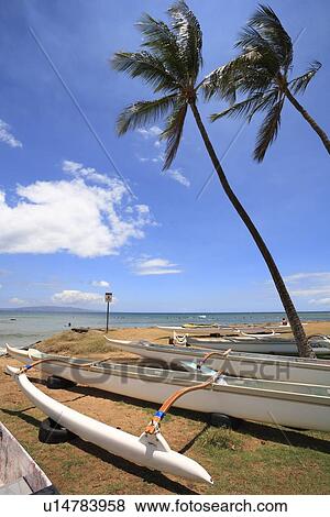 Stock Photo - "Kalama Beach, Maui, Hawaii, U. S. A. ". Fotosearch