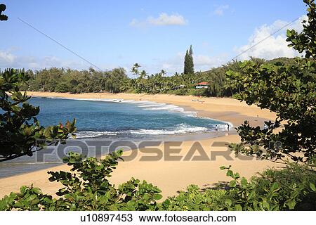 Stock Image - "Lumahai Beach, Kauai, Hawaii, U. S. A. ". Fotosearch