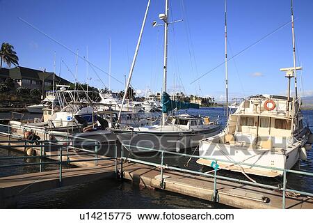 "Maalaea Harbor, Maui, Hawaii, U. S. A. " View Large Photo Image Stock Photography - "Maalaea Harbor, Maui, Hawaii, U. S. A. ". Fotosearch