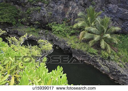 "Pool Of Oheo, Maui, Hawaii, U. S. A. " View Large Photo Image Stock Photo - "Pool Of Oheo, Maui, Hawaii, U. S. A. ". Fotosearch