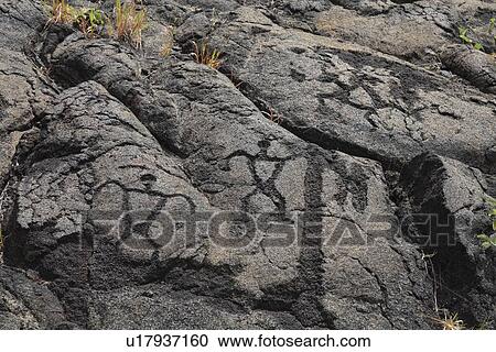 Stock Image - "Pu'u Loa Petro glyphs, Hawaii, U. S. A. ". Fotosearch