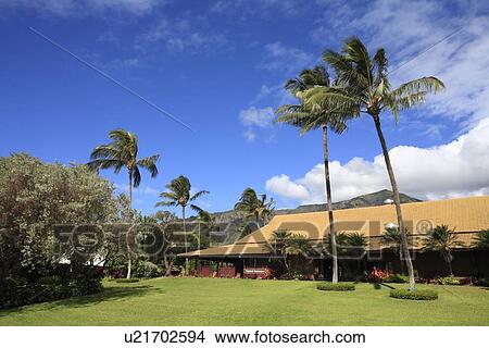 Picture - "Tropical Plantation, Maui, Hawaii, U. S. A. ". Fotosearch