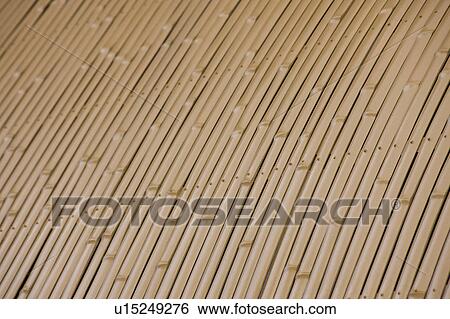 Stock Photograph - Bamboo Palisades. Fotosearch