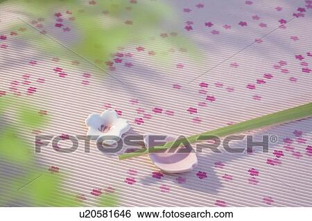 Stock Photograph - Chopsticks and Chopsticks Rest. Fotosearch