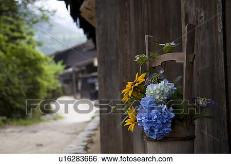 Hydrangea in Wooden Tub View Large Photo Image Stock Photograph - Hydrangea in Wooden Tub. Fotosearch