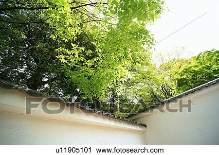 Japanese Traditional Wall View Large Photo Image Stock Image - Japanese Traditional Wall. Fotosearch