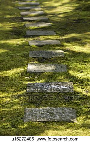 Steppingstone View Large Photo Image Stock Photograph - Steppingstone. Fotosearch