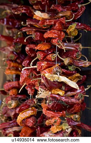 Picture - Stringed Red Pepper. Fotosearch