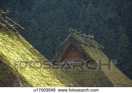Stock Photo - Thatched Roof. Fotosearch