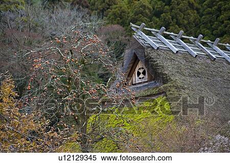 Thatched Roof View Large Photo Image Stock Photography - Thatched Roof. Fotosearch