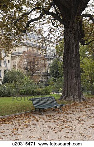 Bench in a Park View Large Photo Image Stock Image - Bench in a Park. Fotosearch