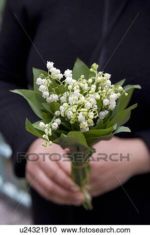 Stock Image - Bouquet of Lily of the Valley. Fotosearch