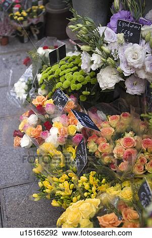 Flower Shop in Paris View Large Photo Image Stock Image - Flower Shop in Paris. Fotosearch
