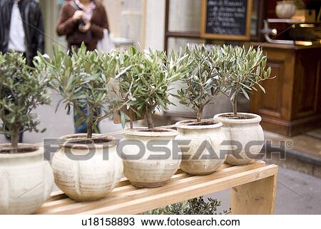 Flower Shop in Paris View Large Photo Image Stock Image - Flower Shop in Paris. Fotosearch