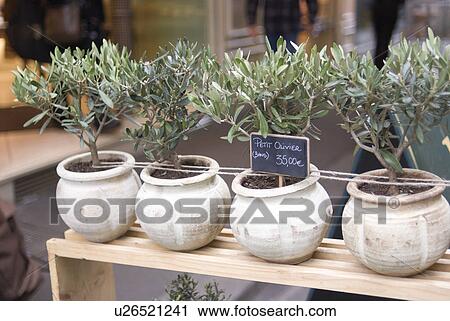 Flower Shop in Paris View Large Photo Image Stock Image - Flower Shop in Paris. Fotosearch