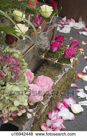 Flower Shop in Paris View Large Photo Image Stock Photo - Flower Shop in Paris. Fotosearch