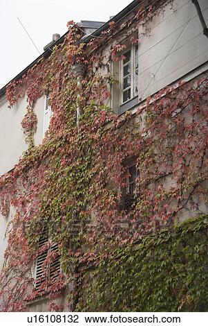 Stock Image - Montmartre Art Museum. Fotosearch