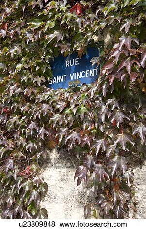 Sign of Street in Paris View Large Photo Image Stock Photo - Sign of Street in Paris. Fotosearch
