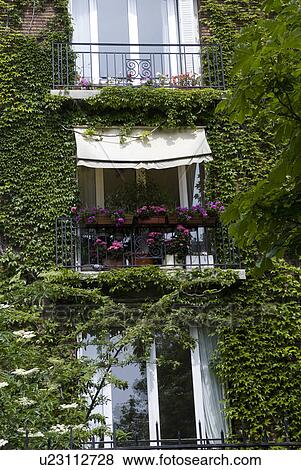 Stock Photo - Windows of Apartment. Fotosearch
