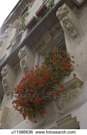 Stock Photograph - Windows of Apartment. Fotosearch