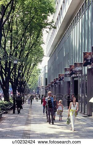 Picture - Omotesando, Tokyo, Japan. Fotosearch