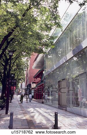 Stock Image - Omotesando, Tokyo, Japan. Fotosearch