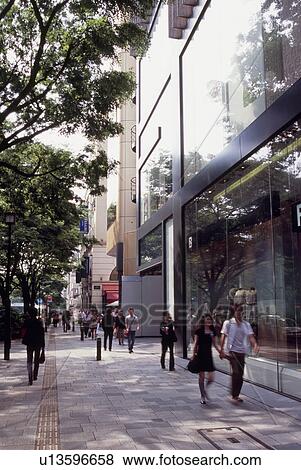 Omotesando, Tokyo, Japan View Large Photo Image Stock Photo - Omotesando, Tokyo, Japan. Fotosearch